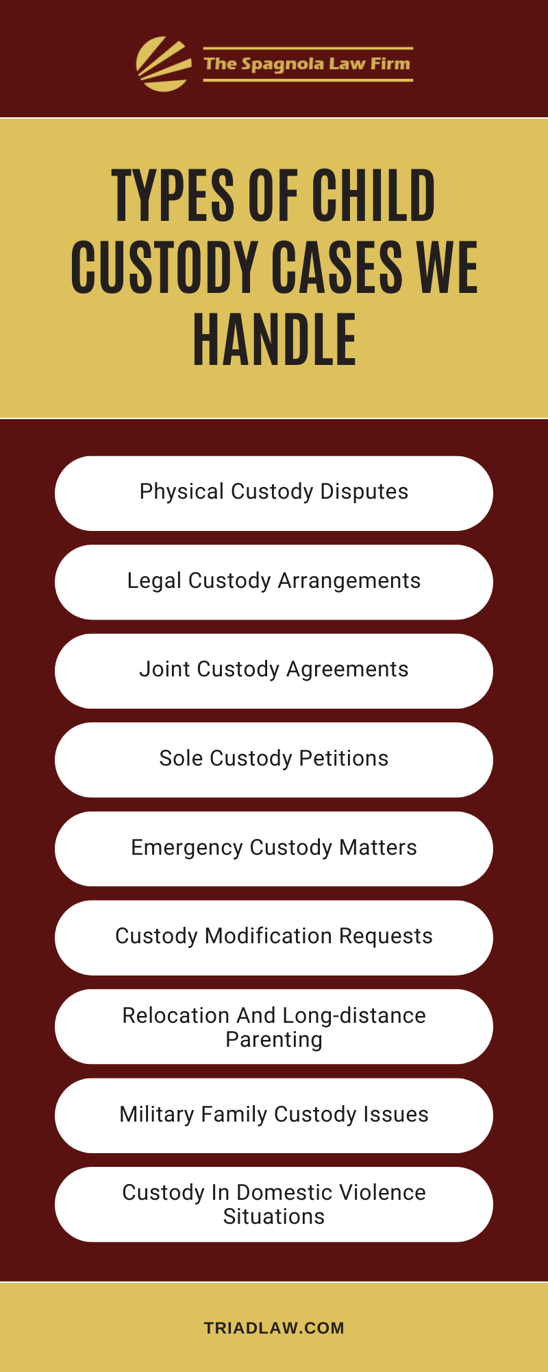 Types Of Child Custody Cases We Handle Infographic