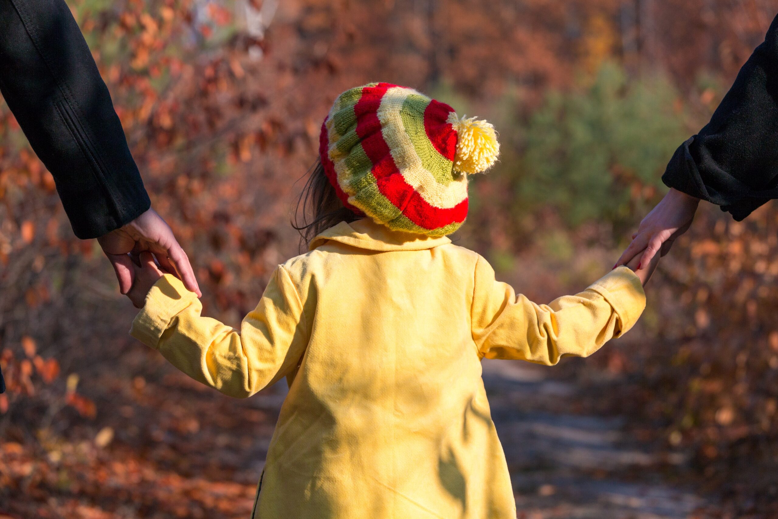 child custody lawyer Greensboro, NC child custody lawyer Greensboro, NC