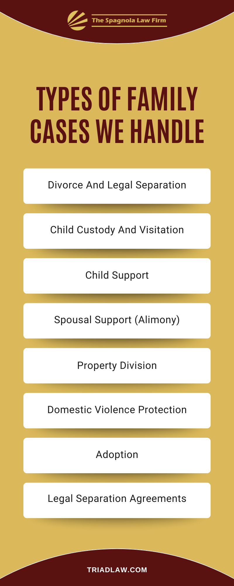 Types Of Family Cases We Handle Infographic